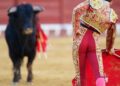 Corridas de toros y peleas de gallos no pueden ser patrimonio cultural: SCJN