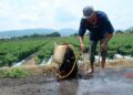 Persisten violaciones a derechos laborales de 60 mil jornaleros del Valle de San Quintín