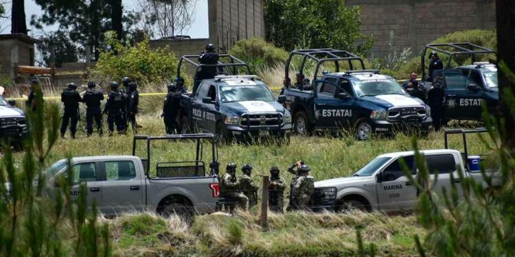 Un mono, mascota de sicario de La Familia Michoacana, murió en balacera de Texcaltitlán