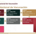 Las etapas de vacunación contra covid-19 en el país.