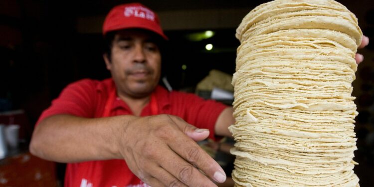 Así ha aumentado el precio de la tortilla en todo México en los últimos 10 años