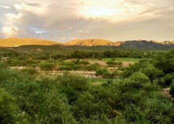 La vegetación que rodea al pueblo de Bacadéhuachi, en el Estado de Sonora (México).
