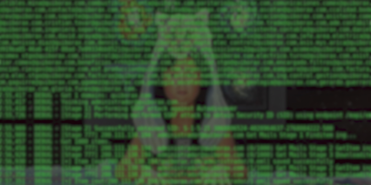 ¿Qué es el grupo de ciberpiratas llamado "Guacamaya'?