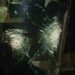 Atentado en contra del periodista Ciro Gómez Leyva; Salva su vida por blindaje de camioneta