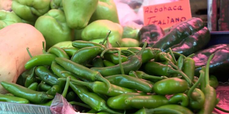 ¿Qué es el chile serrano y por qué preocupa que su precio este por los cielos en México?