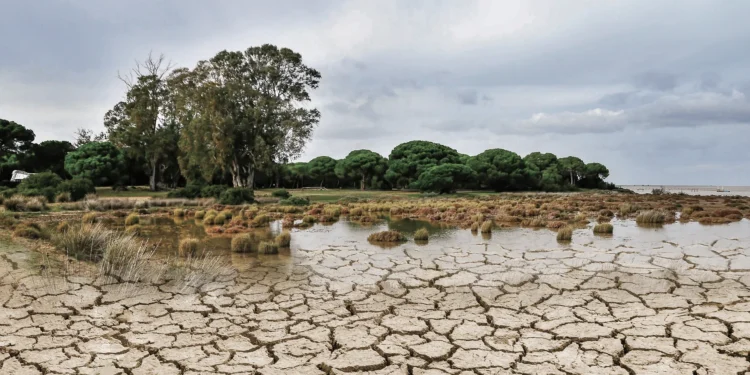 Amenaza cambio climático al sector agropecuario por aumento de temperatura – Columna Digital