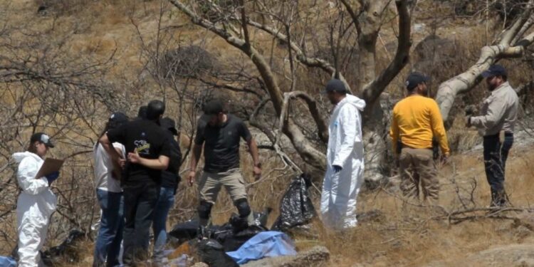 Confirman que restos humanos hallados dentro de bolsas en México corresponden a trabajadores de call center desaparecidos