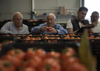 De la cosecha al mercado | Economía