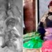 Viralizan nuevo caso de tamales con carne humana en Zapopan; policía aclara todo