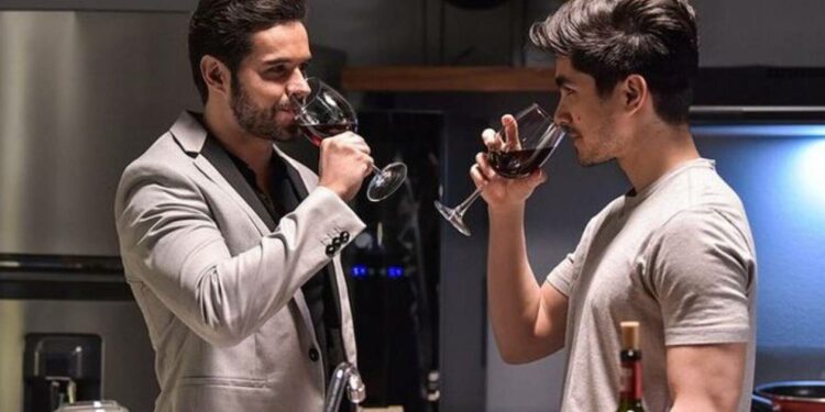 ¿Por qué no había besos entre la pareja gay de ‘La mexicana y el güero’?