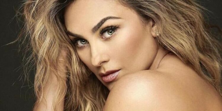Aracely Arámbula puso esta condición para que Luis Miguel vea a sus hijos, ¡y no es la manutención!