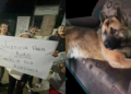 Asesinato de perrito guía en Edomex: detalles