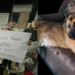 Asesinato de perrito guía en Edomex: detalles