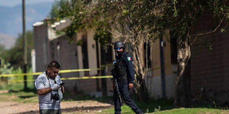 Assesinato brutal de joven en Chihuahua