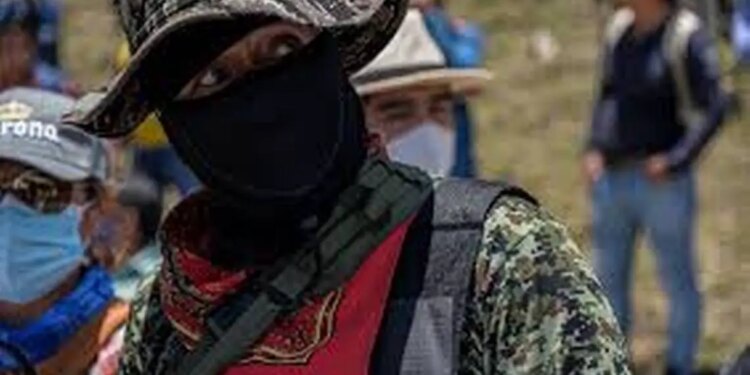 Ataques de "El Machete" provocan temor.