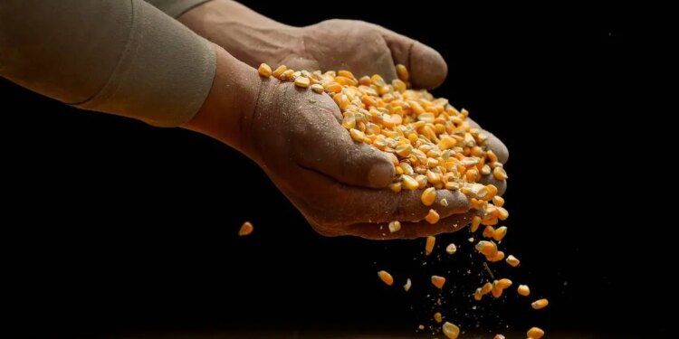 Continuará inversión extranjera en México