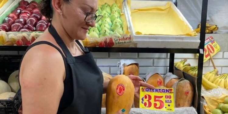 Controla la siembra de papaya en Tierra Caliente