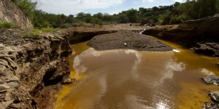 Desastre ambiental en Río Sonora: Remoción insuficiente.