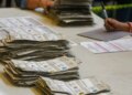 Elecciones 2024: otros cargos a elegir