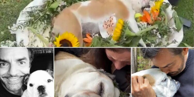 Entre lágrimas, Eugenio Derbez y su familia le dan el último adiós a su mascota Fiona