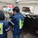 Esterilización para eliminar criaderos de perros
