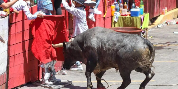 Heridos en Huamantlada 2023: encierro hombre-toro
