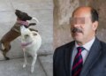 Imputan a alcalde de Tangancícuaro por muerte de perros.
