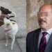 Imputan a alcalde de Tangancícuaro por muerte de perros.