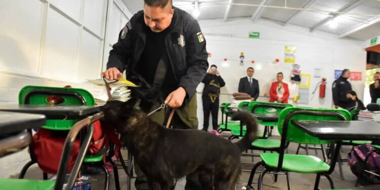 Aprobada Ley de Mochila Segura