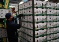 Cepal pronostica crecimiento económico de México.