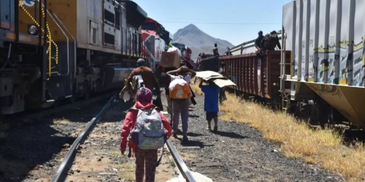 Ferromex detiene por migración: crisis afecta sector
