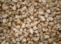 Finalizada adquisición millonaria de maíz blanco