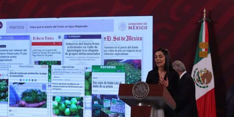 Gobierno frena incremento precio del limón.