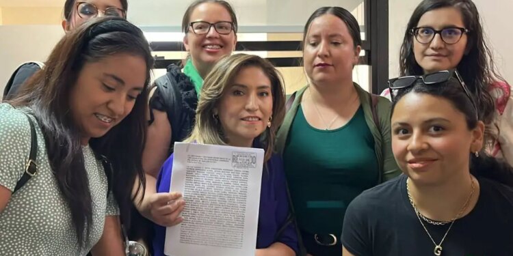 Iniciativa de Interrupción Legal del Embarazo - Marea Verde SLP.