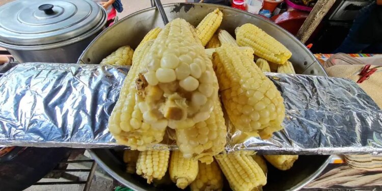 La prohibición de elotes en Cuernavaca