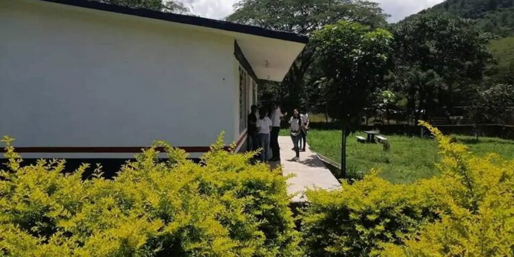 Secuestran a maestra de Cobach en Amatenango