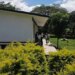 Secuestran a maestra de Cobach en Amatenango