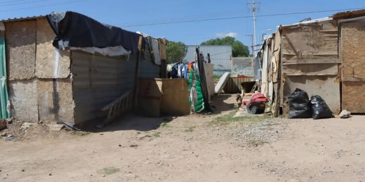 Vida precaria en Cartolandia SLP