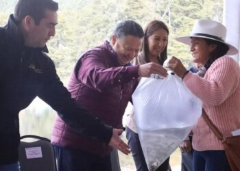 Callejón sin salida – México’s Dilemma