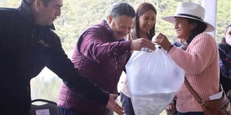 Callejón sin salida – México’s Dilemma