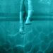 night-swim-NSM_Teaser1Sheet3_CMP355_RGB_1_rgb.jpg