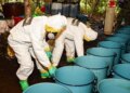 Incautación récord de pastillas de fentanilo
