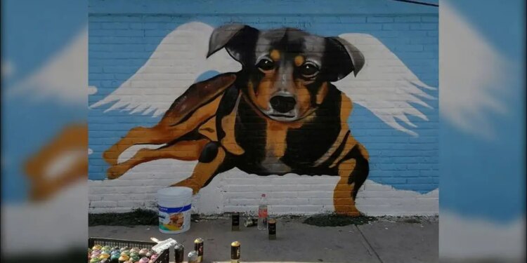 Posibilidad de fianza a sujeto cruel en Tecámac