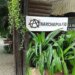 Vuelve a Anarchapulco, el paraíso anarcocapitalista.