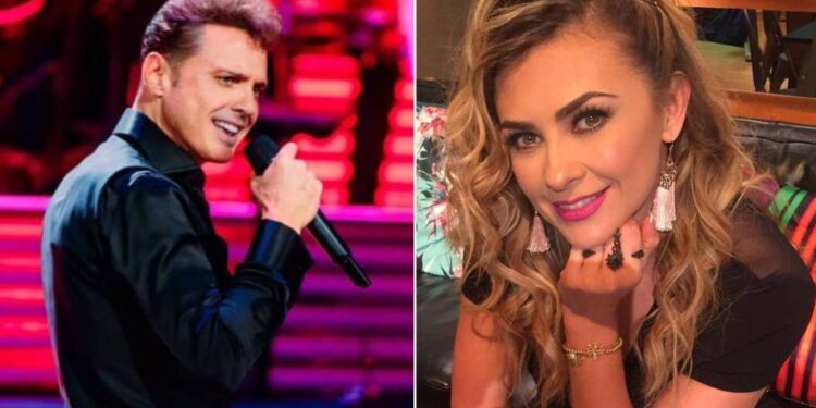 ¿Cuánto pagó Luis Miguel de pensión alimenticia a Aracely Arámbula?