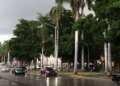 ¿Norma: Estado impactado por lluvias?