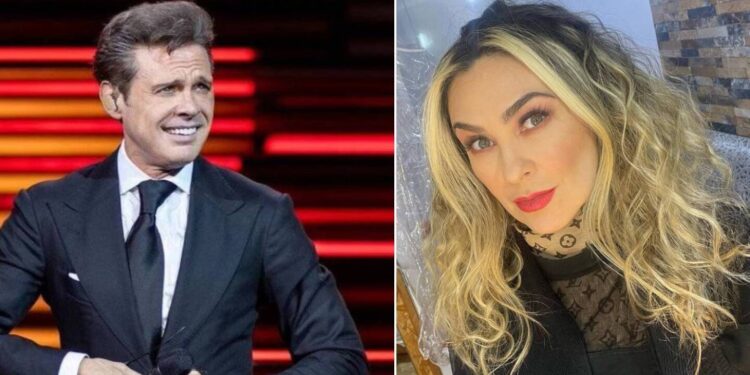 ¿Cuánto le deposita Luis Miguel a Aracely Arámbula cada mes para sus hijos?