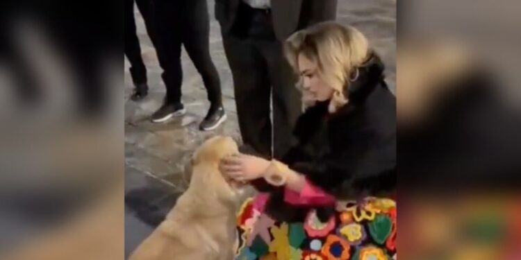 Aracely Arámbula tuvo un dulce gesto con un perrito callejero que conmovió a sus fans