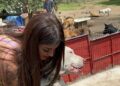 El noble gesto de Karely Ruiz con un refugio de perritos que enterneció a sus seguidores