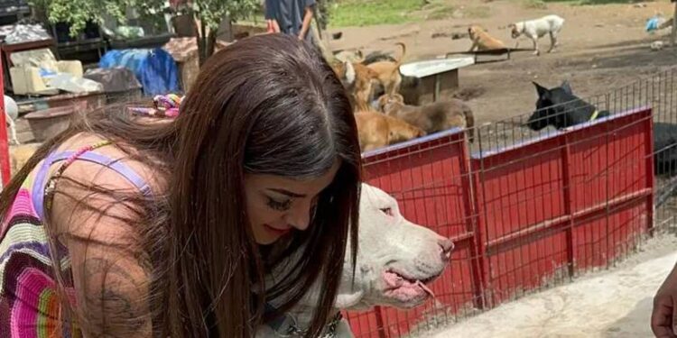 El noble gesto de Karely Ruiz con un refugio de perritos que enterneció a sus seguidores